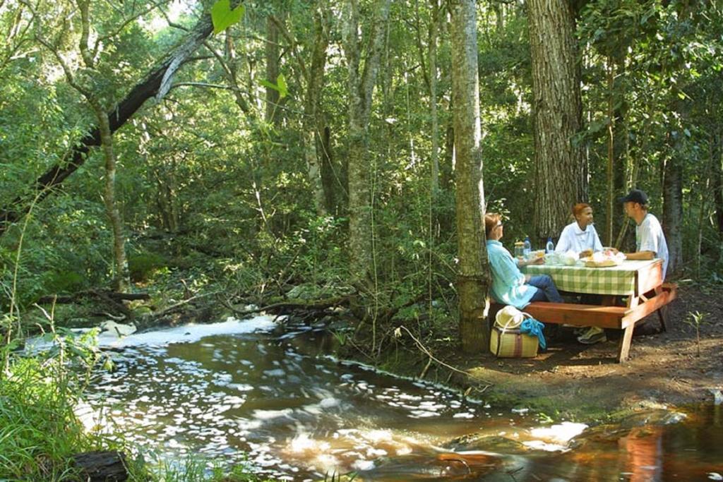 The Fernery Lodge & Spa Stormsrivier Exterior foto